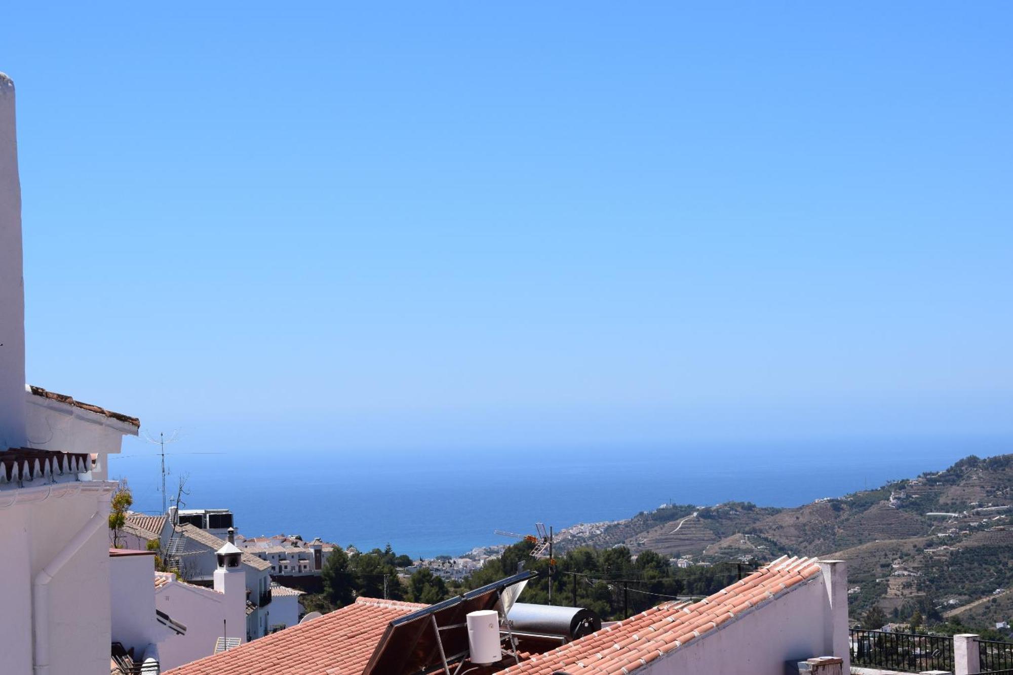 Olivo 15e Frigiliana